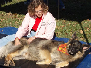 Canine Therapeutic Massage